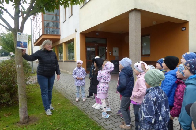 Děti z mateřské školy a prvních a druhých tříd základní školy se po celý týden vydávaly na pohádkové cesty s Večerníčkem, kde plnily zábavné úkoly a setkávaly se s oblíbenými postavičkami z pohádek.