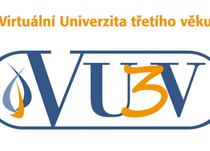 Závěrečné posezení v rámci studia VU3V k ukončení letního semestru 2021.